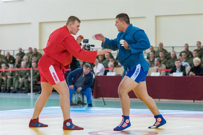 Чемпионат на Кубок Героя России генерал-полковника Анатолия Романова