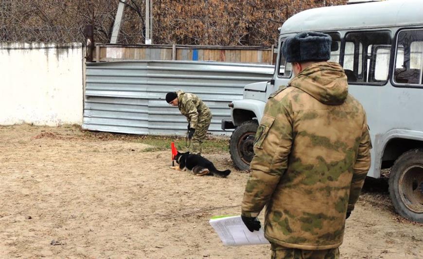 Около 30 кинологов Росгвардии прошли четырёхмесячный курс профессиональной подготовки в Тюмени