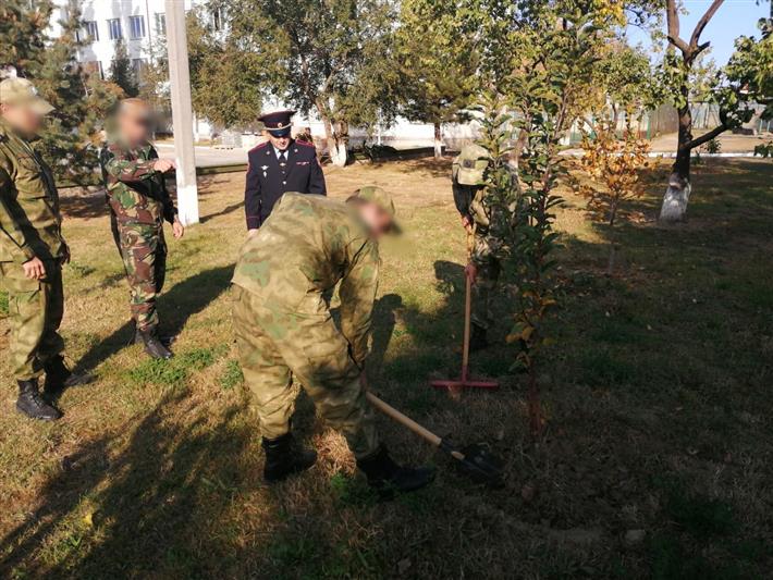 Акция «Аллея Росгвардии» проведена в Дагестане 