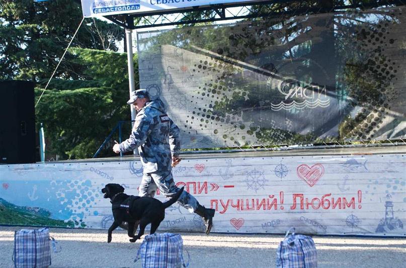 Кинологи Росгвардии провели показательное выступление для севастопольских школьников 