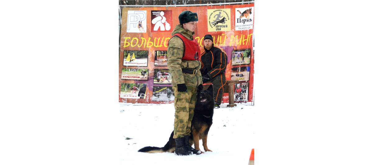 Курсанты Пермского военного института Росгвардии одержали победу на чемпионате России по прикладному многоборью кинологов
