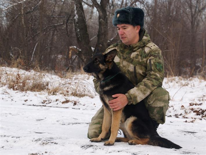 Хакасские журналисты познакомились с четвероногими помощниками росгвардейцев