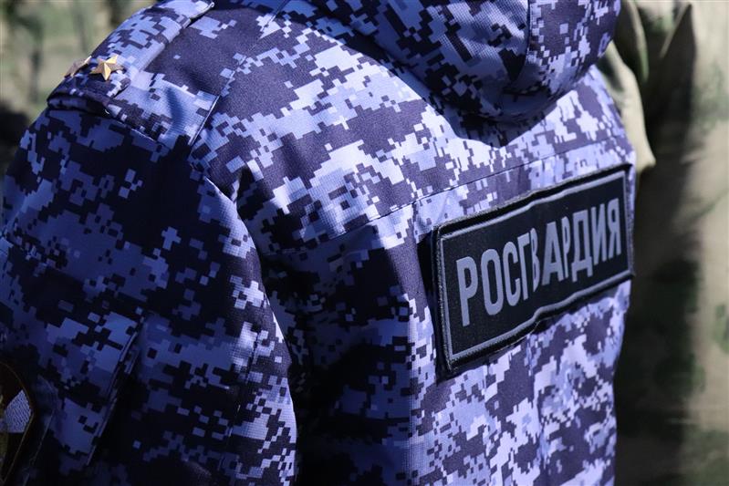 Марийские росгвардейцы защитили гражданина от агрессивного соседа, угрожавшего ему топором 