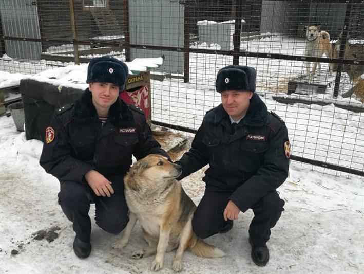 Росгвардейцы Кузбасса оказали помощь пункту временного пребывания бездомных животных