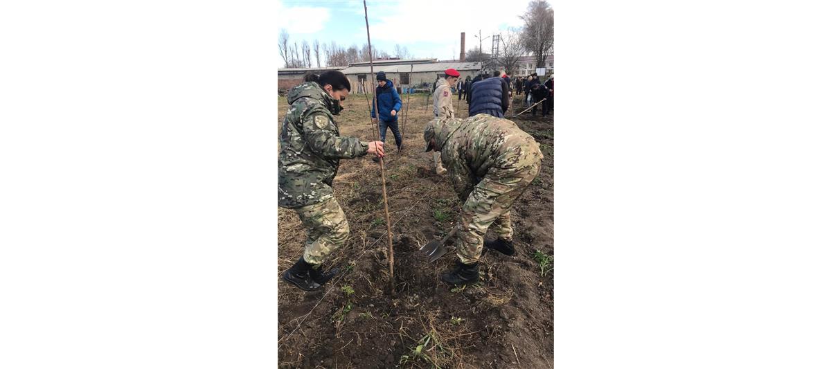 В Северной Осетии росгвардейцы приняли участие в акции «Аллея Победы»