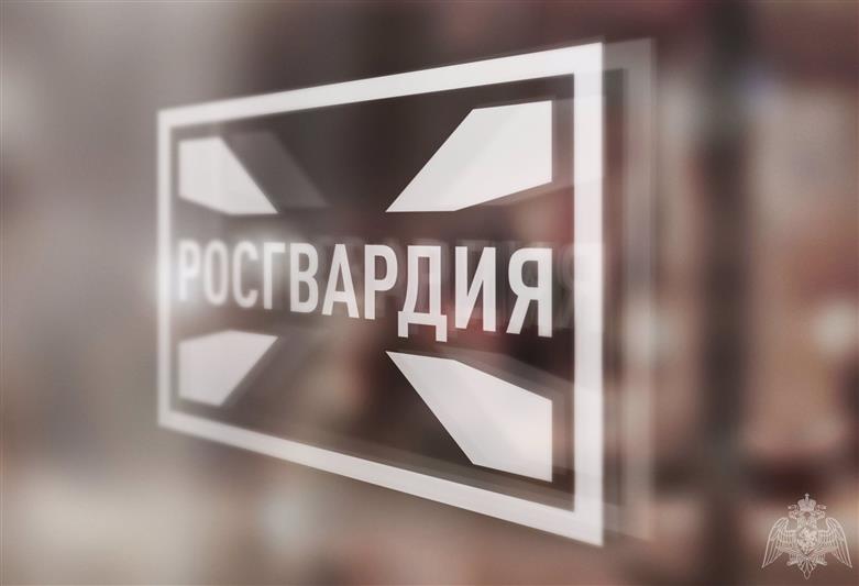 В Магасе росгвардейцы защитили детей от стаи бродячих собак