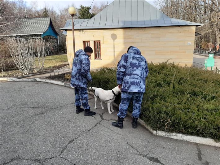 Росгвардия обеспечила охрану общественного порядка на Северном Кавказе в период празднования Нового года и Рождества Христова