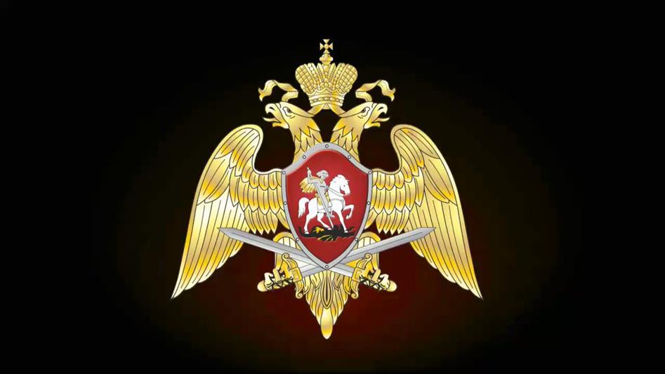 В Калуге офицер Росгвардии во внеслужебное время задержал нетрезвого водителя