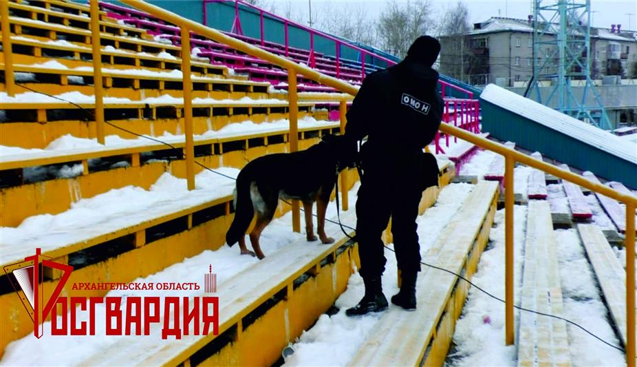 Сотрудники архангельского ОМОН приняли участие в обеспечении общественной безопасности на матче чемпионата России по хоккею с мячом