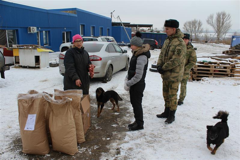 В Саратове росгвардейцы-кинологи посетили пункты временного пребывания бездомных животных