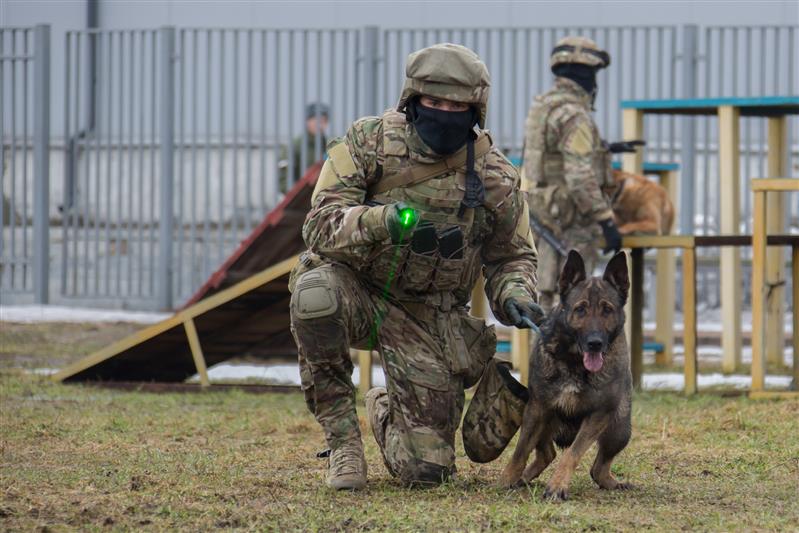 Кинологи Росгвардии в 2019 году задержали 7 тысяч нарушителей и обследовали 30 тысяч объектов