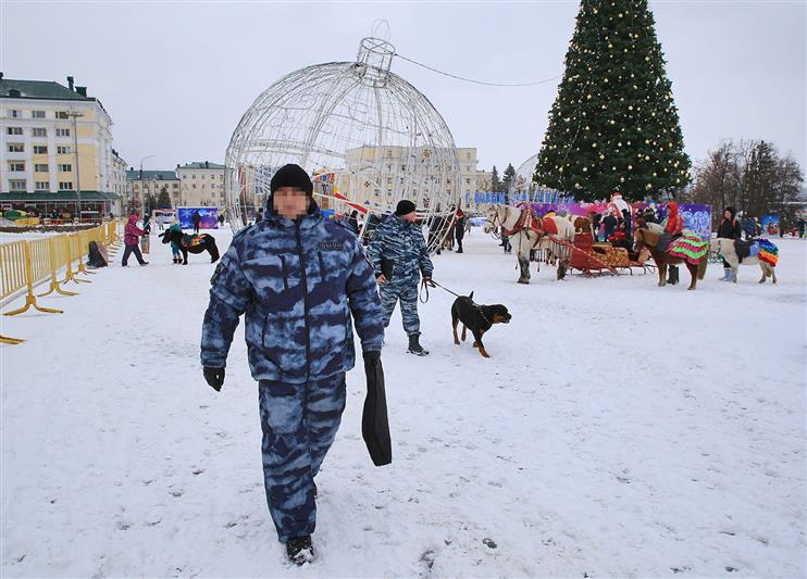 В Мордовии росгвардейцы приняли участие в обеспечении безопасности новогодних торжеств