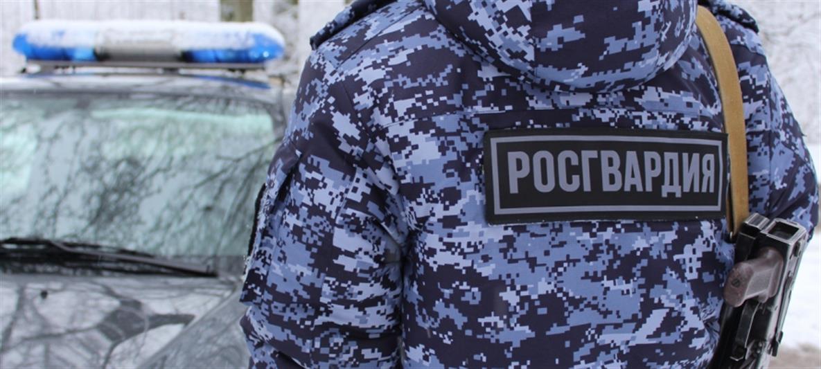 В Северной Осетии саперы Росгвардии обследовали и уничтожили взрывоопасные снаряды, найденные рабочими 
