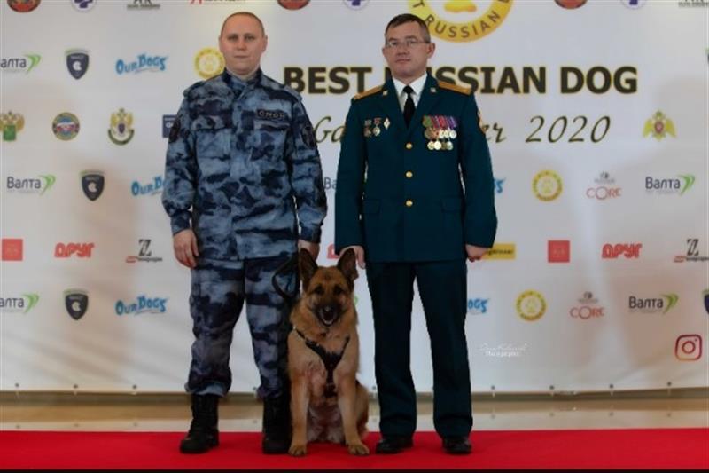 Кинологи Росгвардии и их питомцы вошли в число лидеров всероссийского рейтинга Best Russian Dog