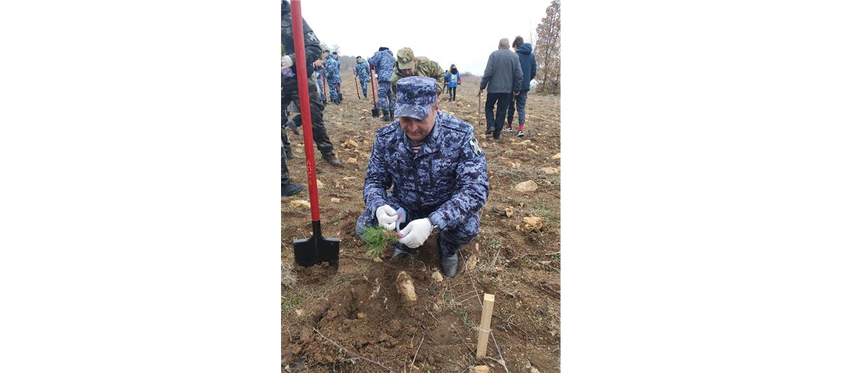 Севастопольские росгвардейцы присоединились к акции «Лес поколений» и высадили саженцы хвойных пород (видео)