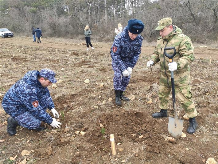 Севастопольские росгвардейцы присоединились к акции «Лес поколений» и высадили саженцы хвойных пород (видео)
