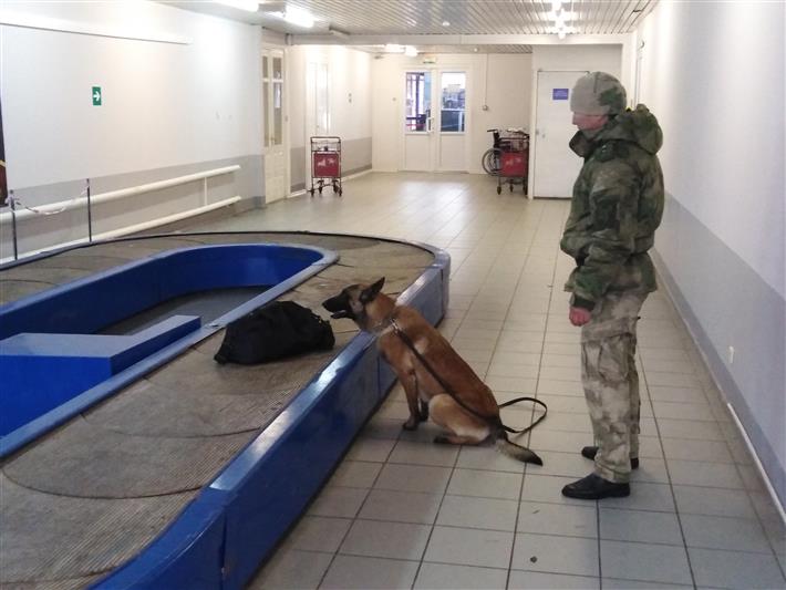 Межведомственное занятие с участием кинологов Росгвардии прошло в Калмыкии