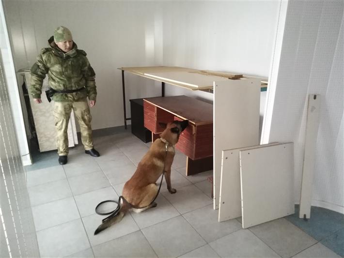 Межведомственное занятие с участием кинологов Росгвардии прошло в Калмыкии
