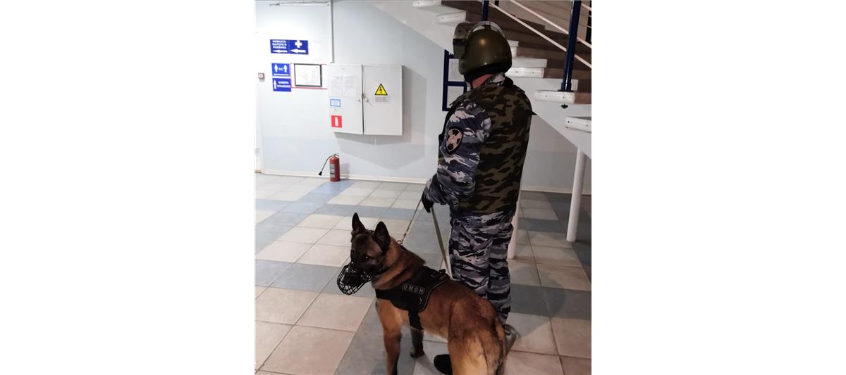 Межведомственное занятие с участием кинологов Росгвардии прошло в Калмыкии