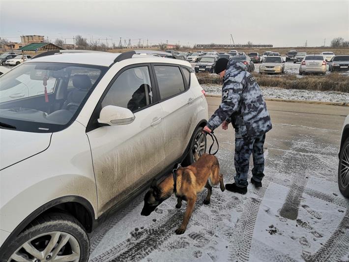 Межведомственное занятие с участием кинологов Росгвардии прошло в Калмыкии