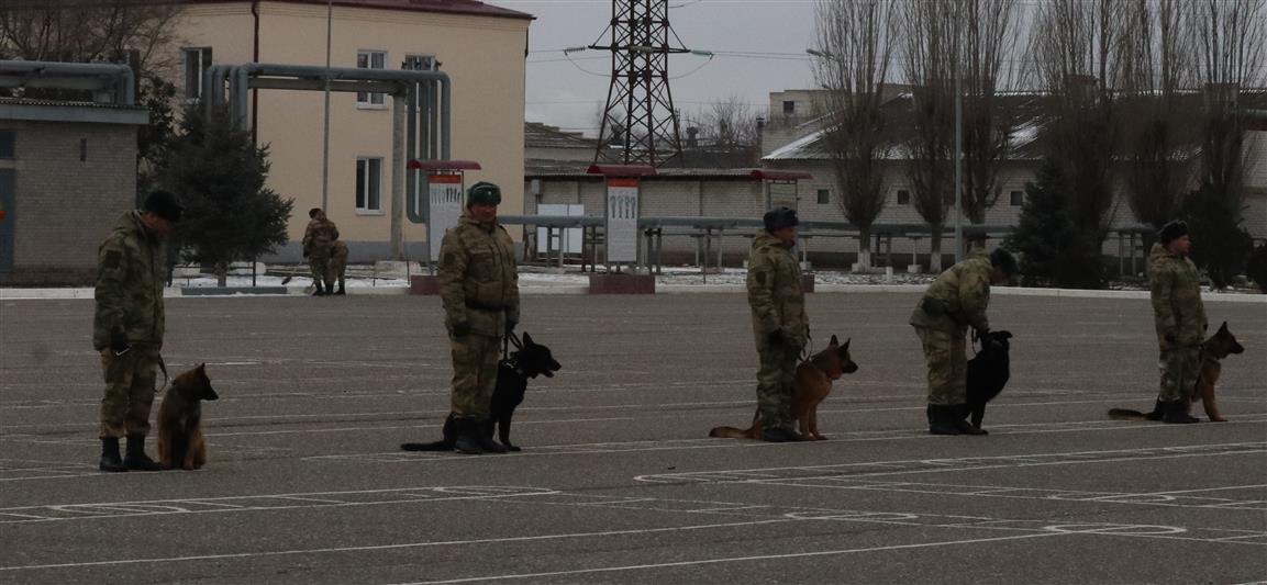 В Зеленокумске проходят сборы специалистов-кинологов Северо-Кавказского округа Росгвардии 
