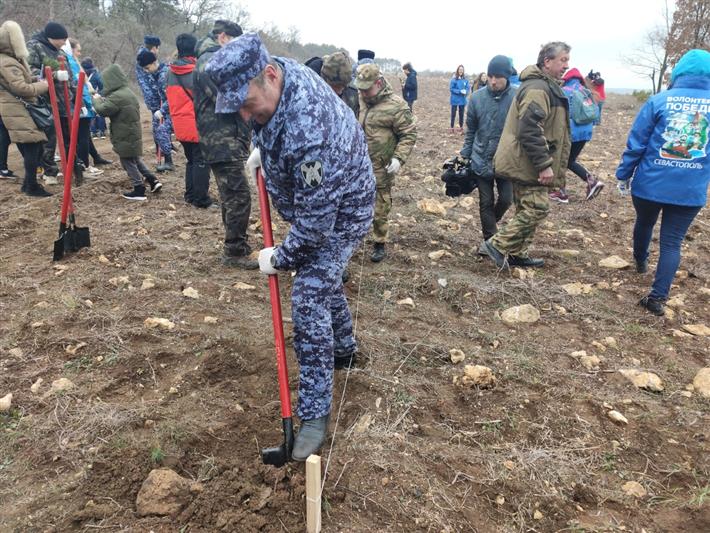 Севастопольские росгвардейцы присоединились к акции «Лес поколений» и высадили саженцы хвойных пород (видео)