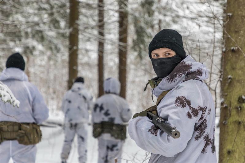 Лес, поиск, разведка
