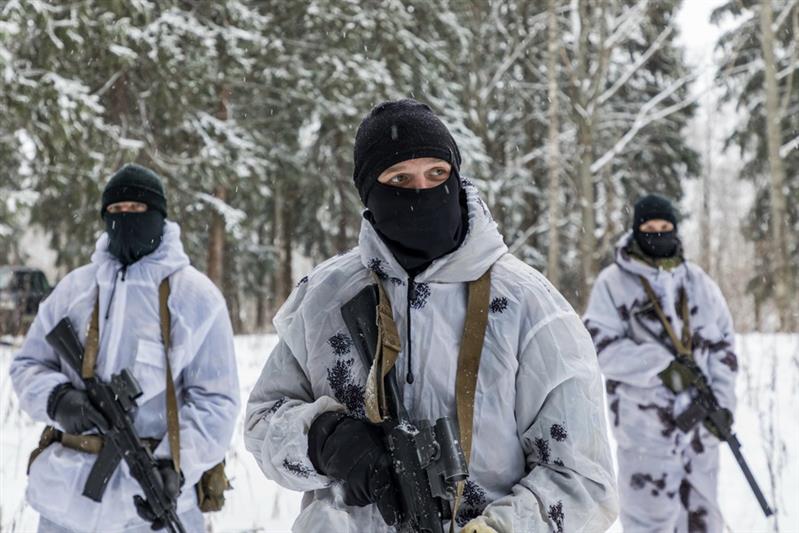Лес, поиск, разведка