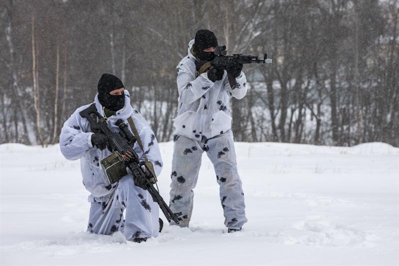 Лес, поиск, разведка