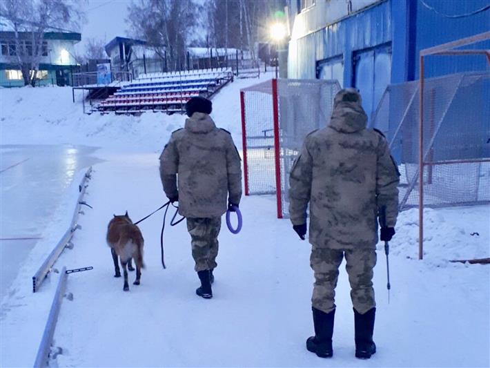 Росгвардия участвует в обеспечении безопасности чемпионата мира по хоккею с мячом