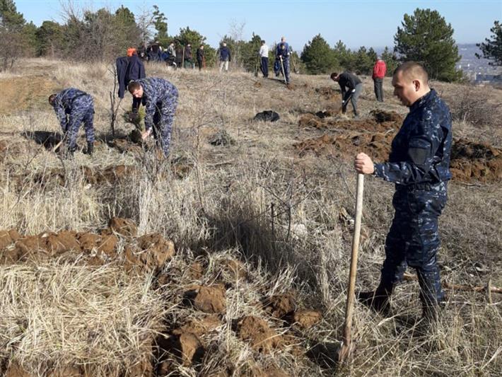 Сотрудники ставропольской вневедомственной охраны поддержали всероссийскую акцию «Сад памяти»