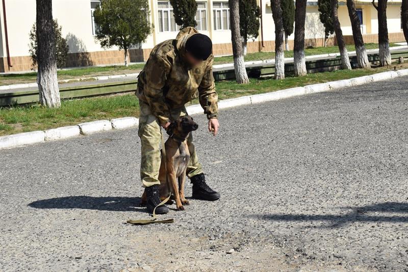 В Дагестане прошли учебные сборы кинологов ОМОН