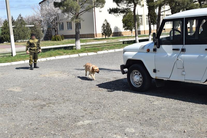 В Дагестане прошли учебные сборы кинологов ОМОН