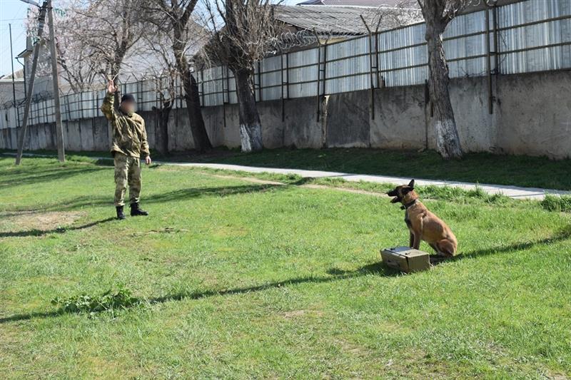 В Дагестане прошли учебные сборы кинологов ОМОН