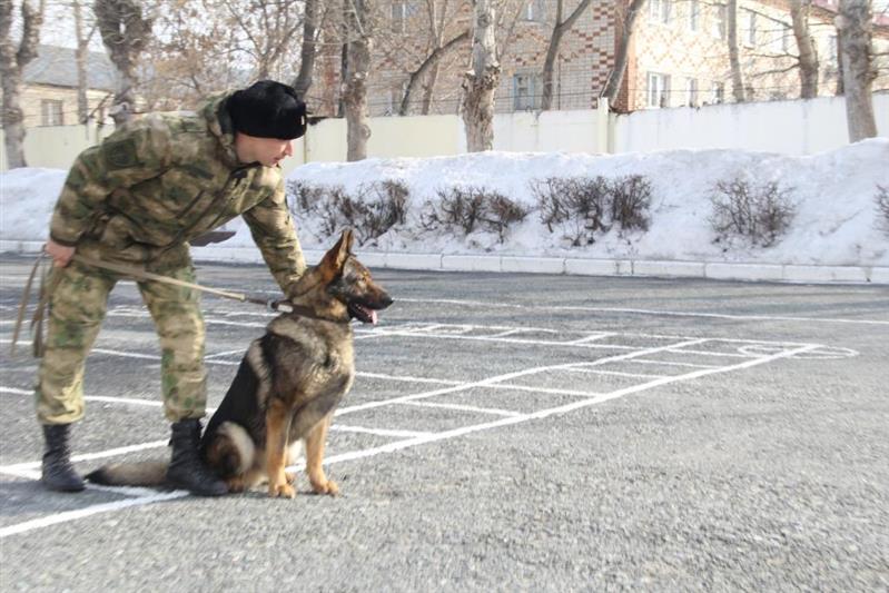 Кинологи Уральского округа Росгвардии рассказали журналистам о своей службе