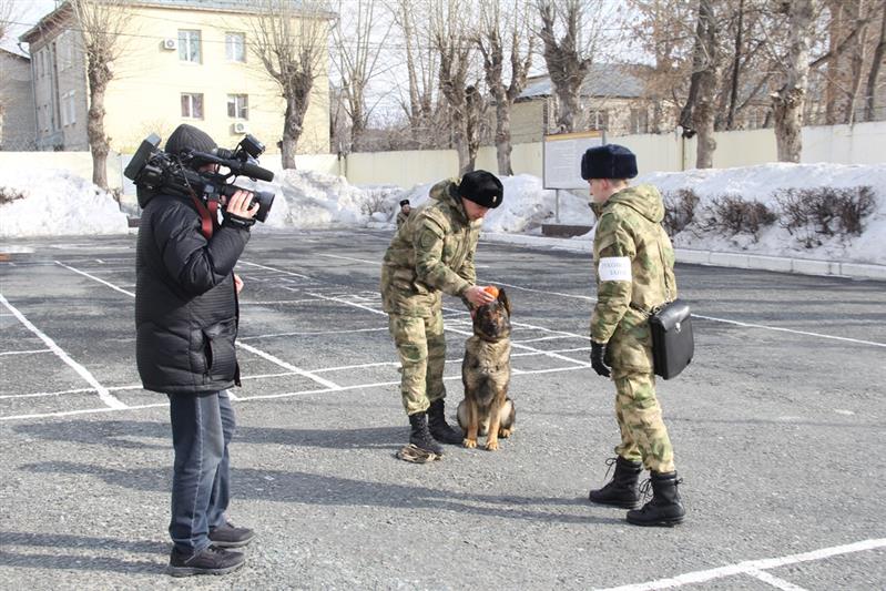 На тюменском ТВ вышел сюжет о кинологах Росгвардии (видео)