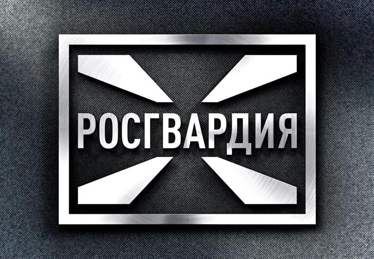 При содействии спецподразделений Росгвардии пресечена незаконная банковская деятельность в Воронеже