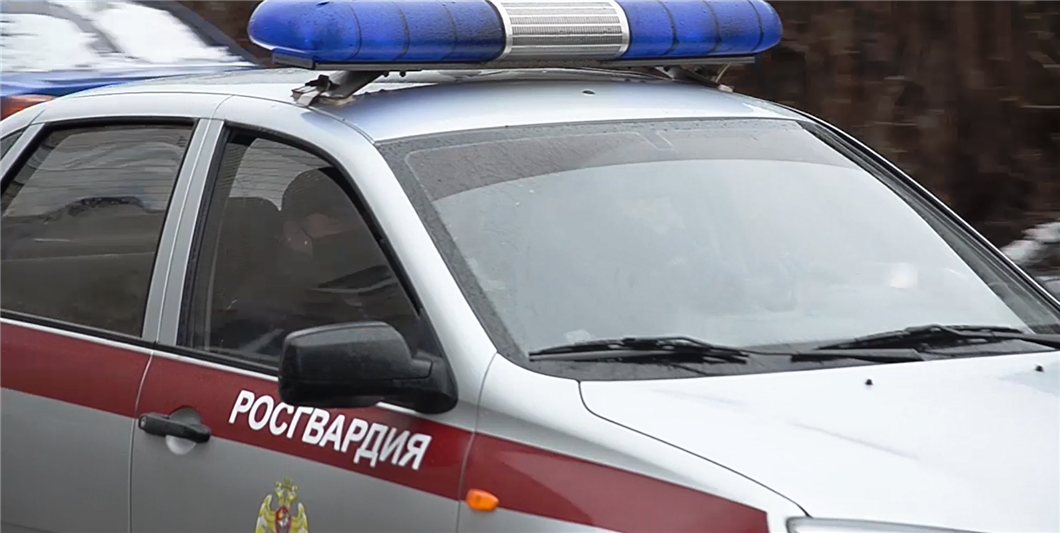 Сотрудниками Росгвардии и полиции в Подмосковье задержаны трое подозреваемых в грабеже