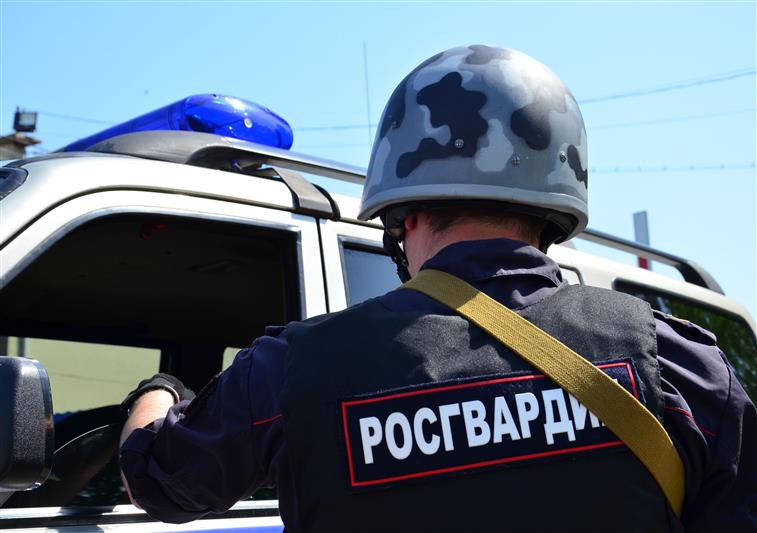 Нарядом вневедомственной охраны Росгвардии в Тамбовской области  задержан нетрезвый водитель