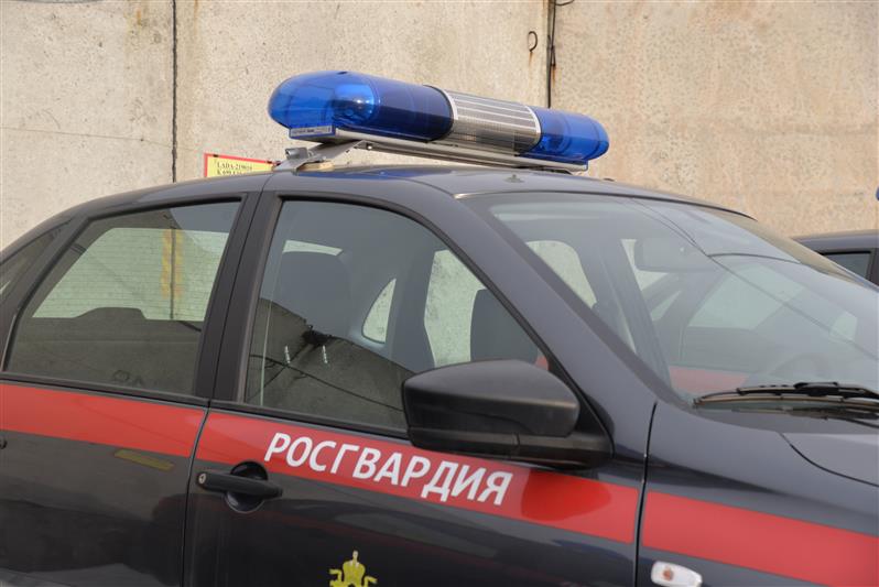В Москве росгвардейцы задержали подозреваемых в грабеже