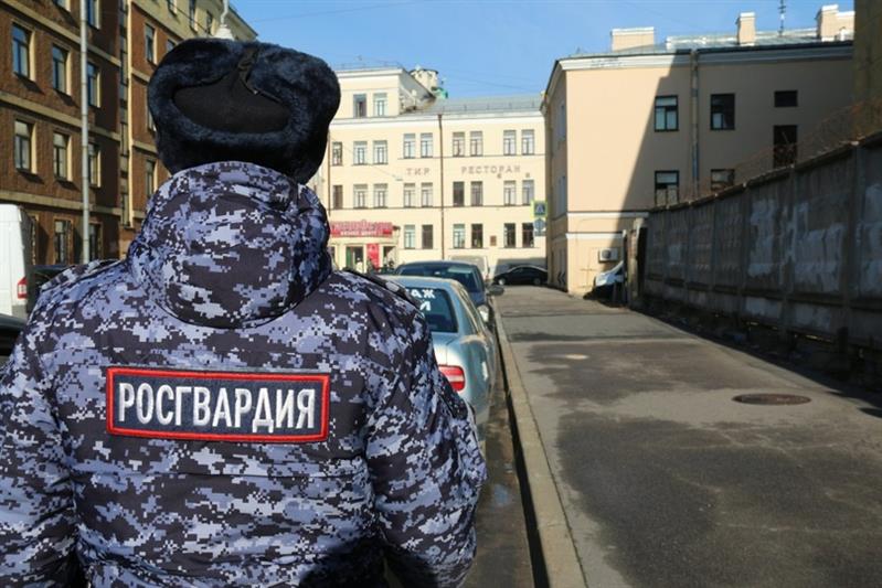 В Петергофе росгвардейцами задержан мужчина, умышленно повредивший имущество больницы