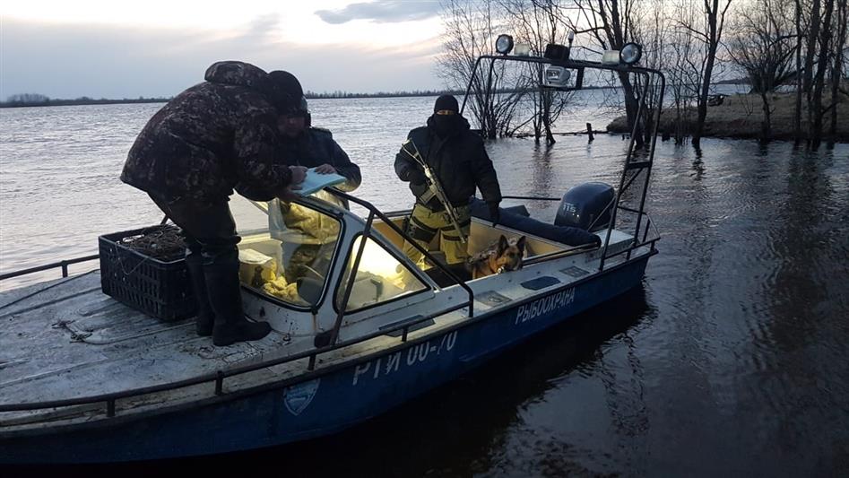 В Югре Росгвардия окажет содействие инспекторам Росрыболовства в борьбе с браконьерством 