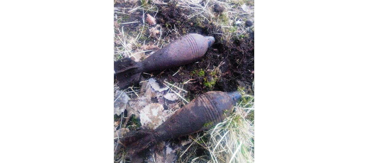 Взрывотехники ОМОН обезвредили боеприпасы времён войны, обнаруженные в Санкт-Петербурге