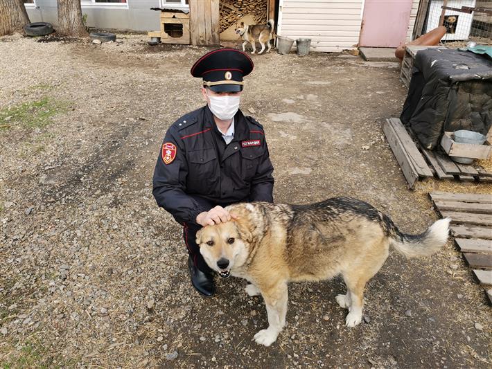 Кузбасские росгвардейцы помогли волонтерам в сборе благотворительной помощи для бездомных животных