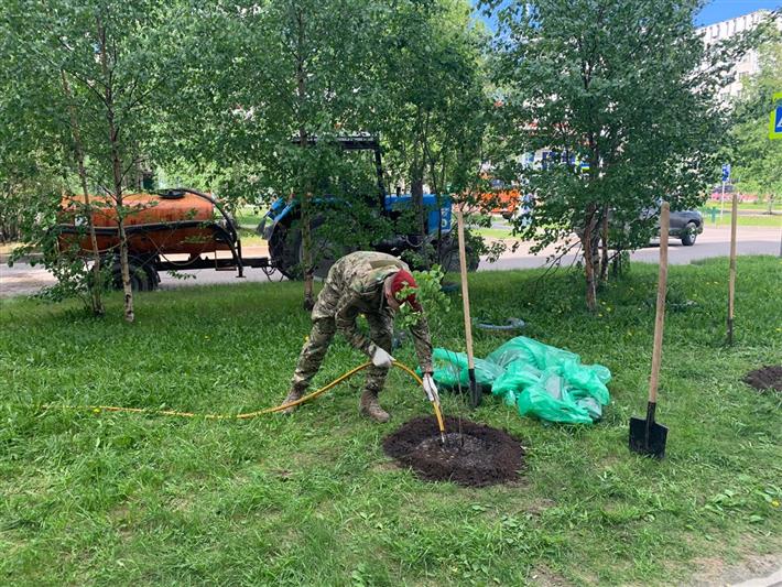 В Югре сотрудники Росгвардии в рамках Всероссийской акции «Сад памяти» высадили 75 саженцев сирени