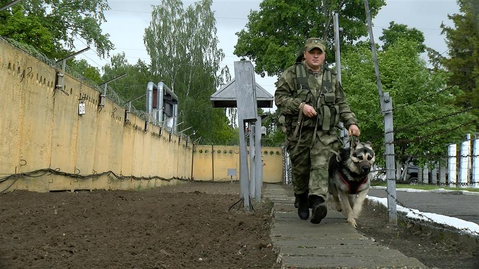 Военнослужащие Росгвардии пресекли незаконное проникновение на территорию ЗАТО «Заречный» 
