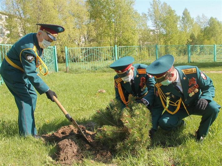 Военнослужащие северского соединения Росгвардии приняли участие во всероссийской акции «Лес Победы»