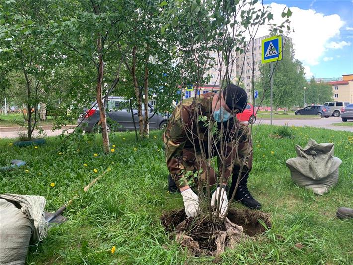 В Югре сотрудники Росгвардии в рамках Всероссийской акции «Сад памяти» высадили 75 саженцев сирени