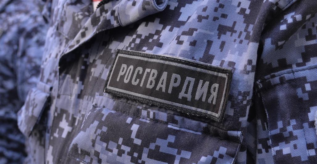 В Москве сотрудники  Росгвардии помогли утиному выводку перейти оживленную дорогу (видео)