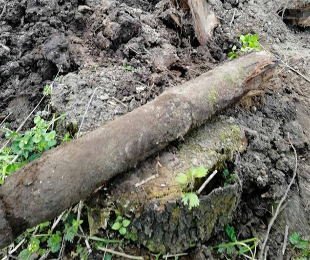 Во Владимирской области взрывотехники ОМОН уничтожили снаряд времён Великой Отечественной войны